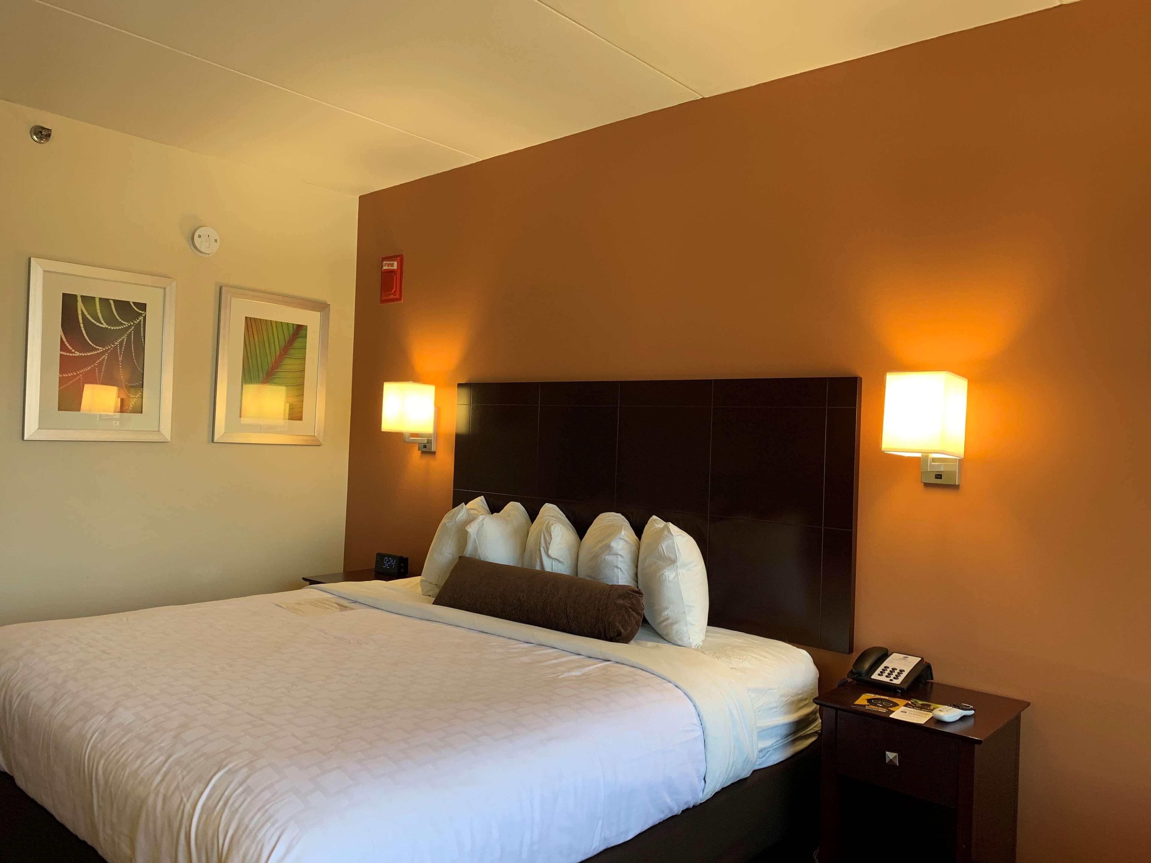 Best Western Executive Hotel New Haven-West Haven Buitenkant foto